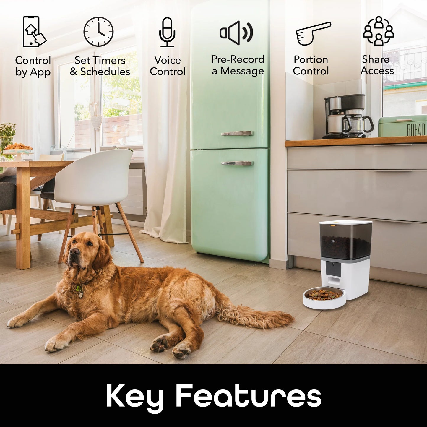 6L Smart Pet Feeder - Automatic Cat and Dog Food Dispenser