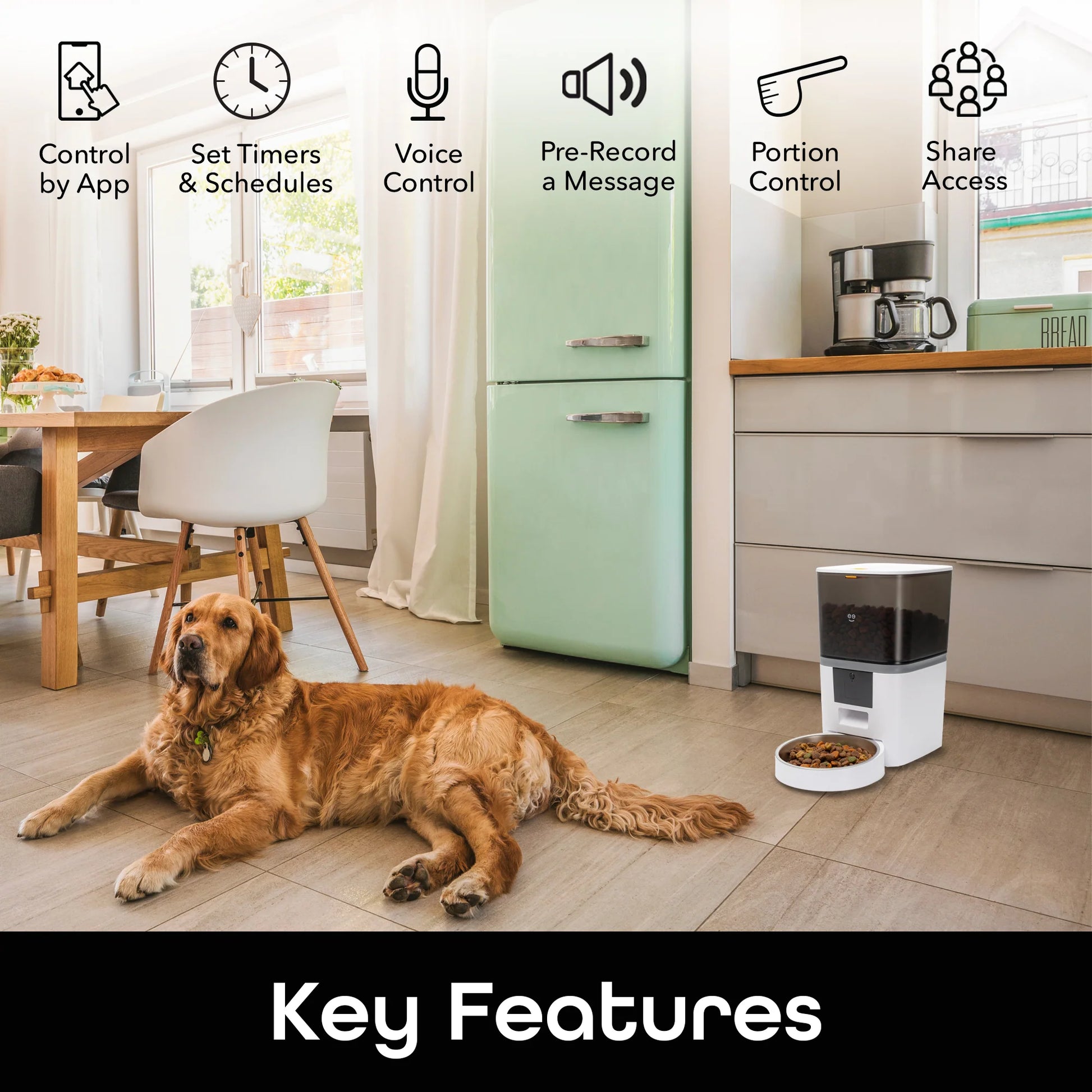 6L Smart Pet Feeder - Automatic Cat and Dog Food Dispenser